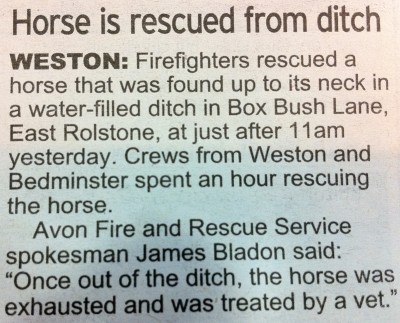 Horse exhausted after Box Bush incident - news article