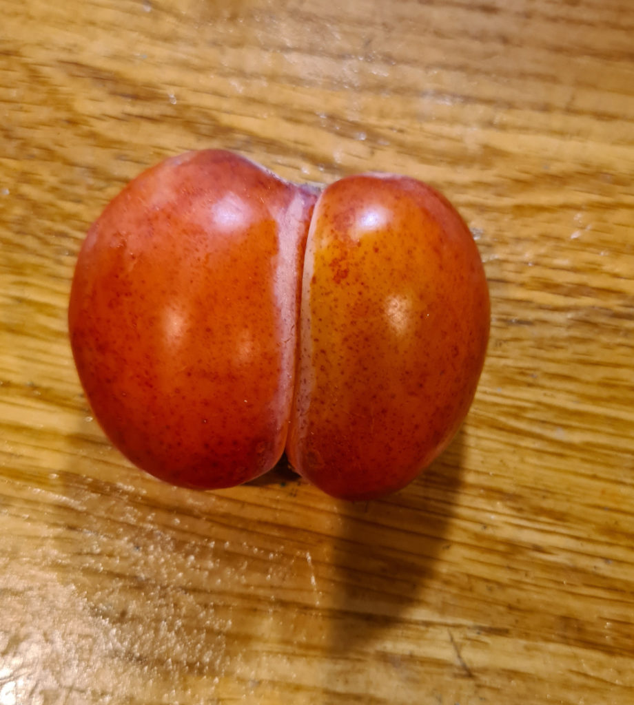 A plum that looks like testicles