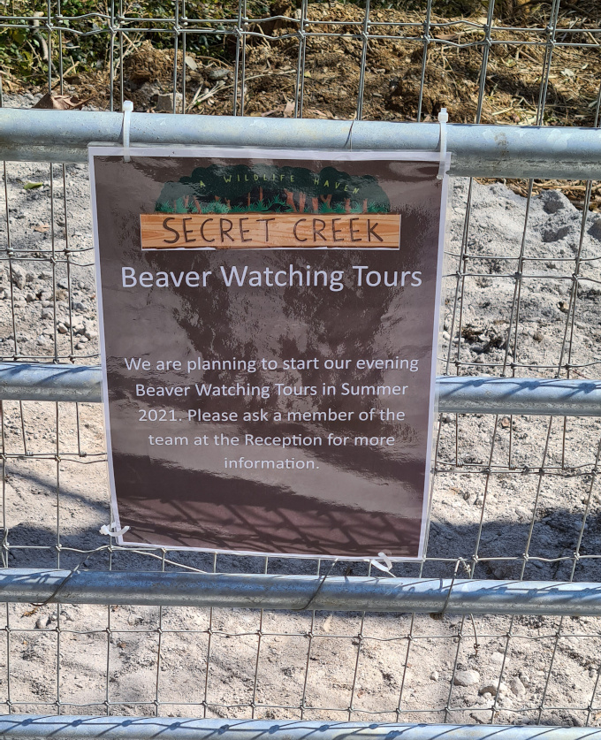 A sign offering beaver watching tours